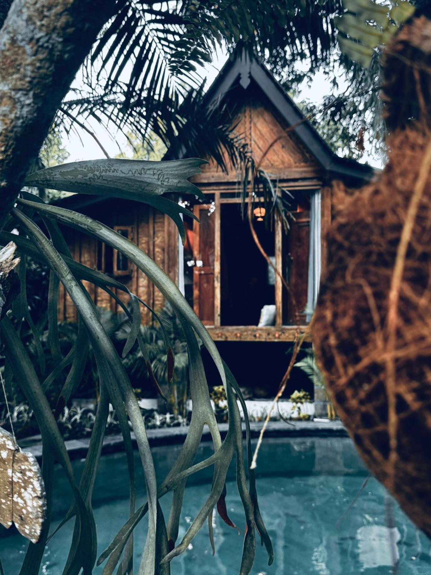 Resort Jungleroom Canggu Esterno foto